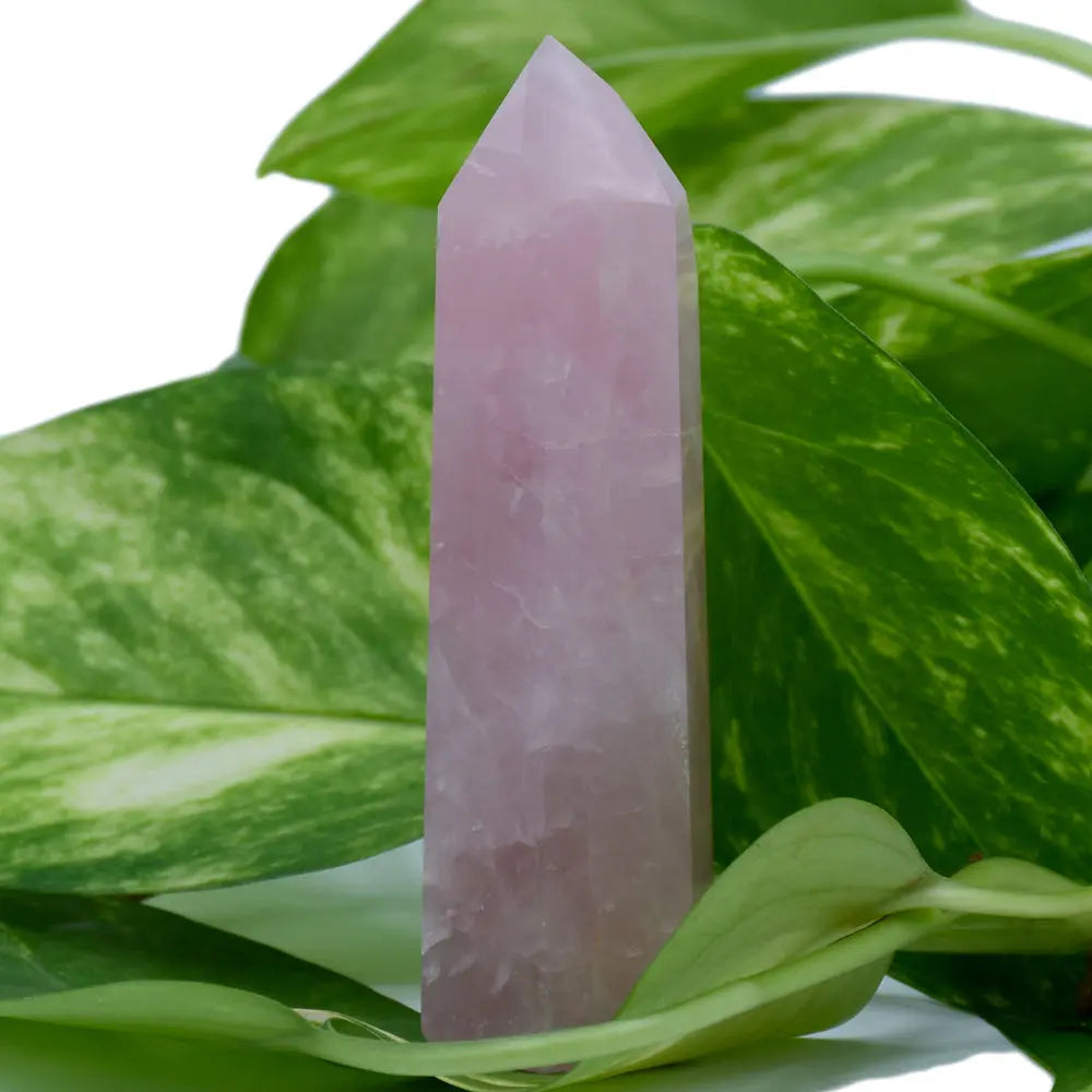 Pointe verticale en quartz rose poli, entourée de grandes feuilles vertes d'une plante.