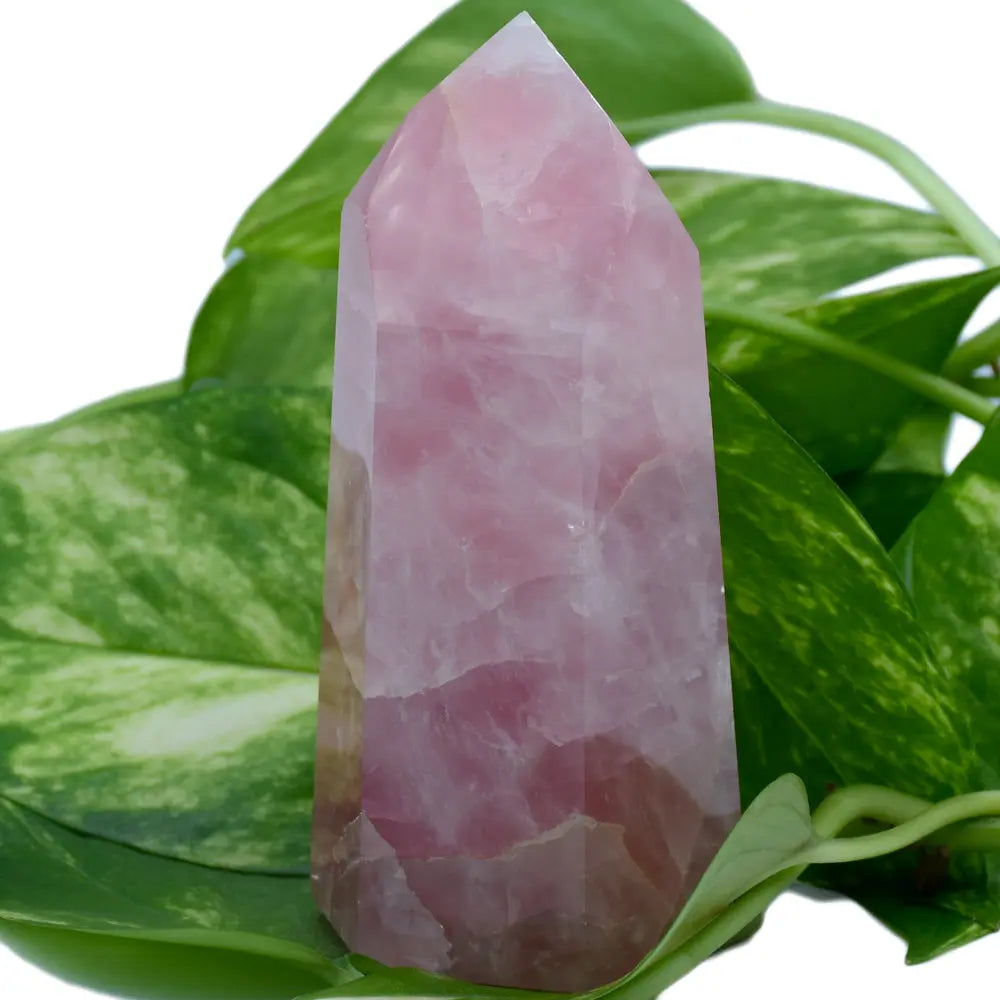 Pointe de quartz rose poli, aux nuances marbrées et de forme plus large, posée au milieu de feuilles vertes.