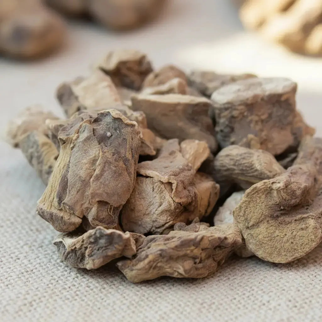 Gros plan sur un monticule de morceaux de Racine de Mandragore séchée, montrant leur couleur brun-beige terreux et leur forme irrégulière et fibreuse.