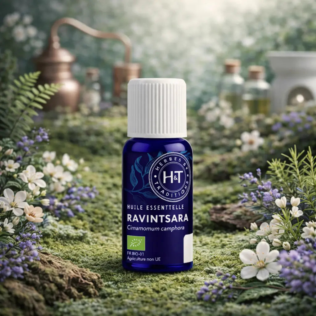 Flacon bleu d'huile essentielle de Ravintsara Herbes et Traditions posé sur une mousse épaisse entouré de petites fleurs blanches et violettes.
