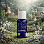 Flacon bleu d'huile essentielle de Ravintsara Herbes et Traditions posé sur une mousse épaisse entouré de petites fleurs blanches et violettes.