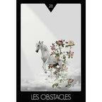 Réalise ton Aspiration - Bruno Lallement - Coffret 74 Cartes Le Courrier du Livre