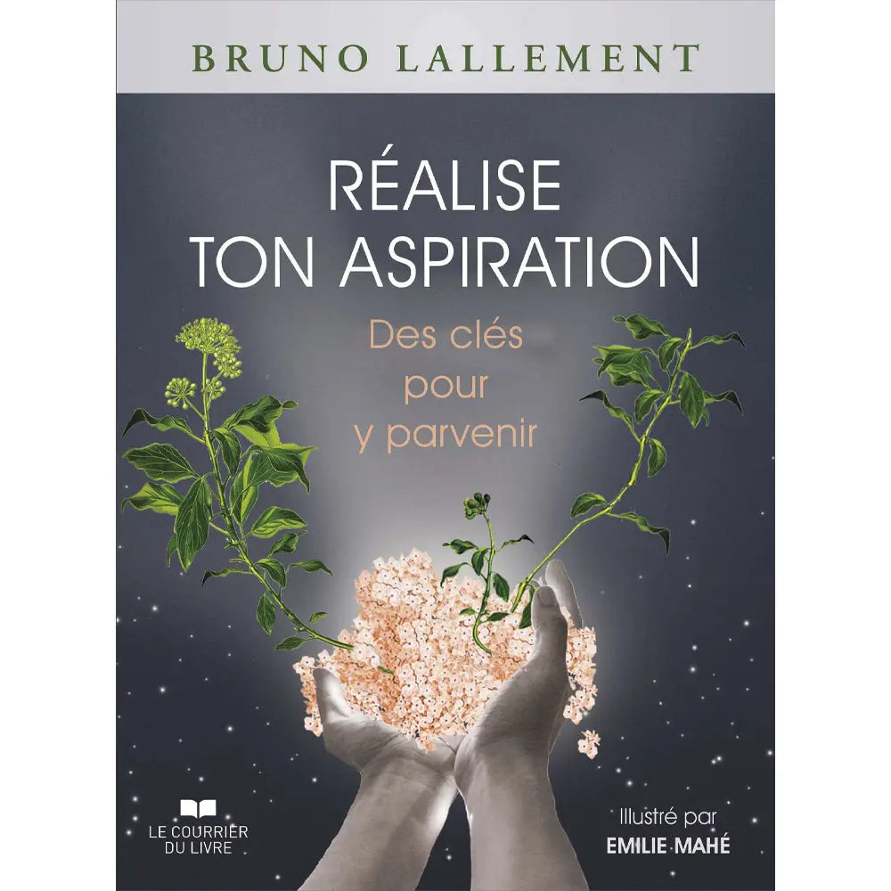 Réalise ton Aspiration - Bruno Lallement - Coffret 74 Cartes Le Courrier du Livre