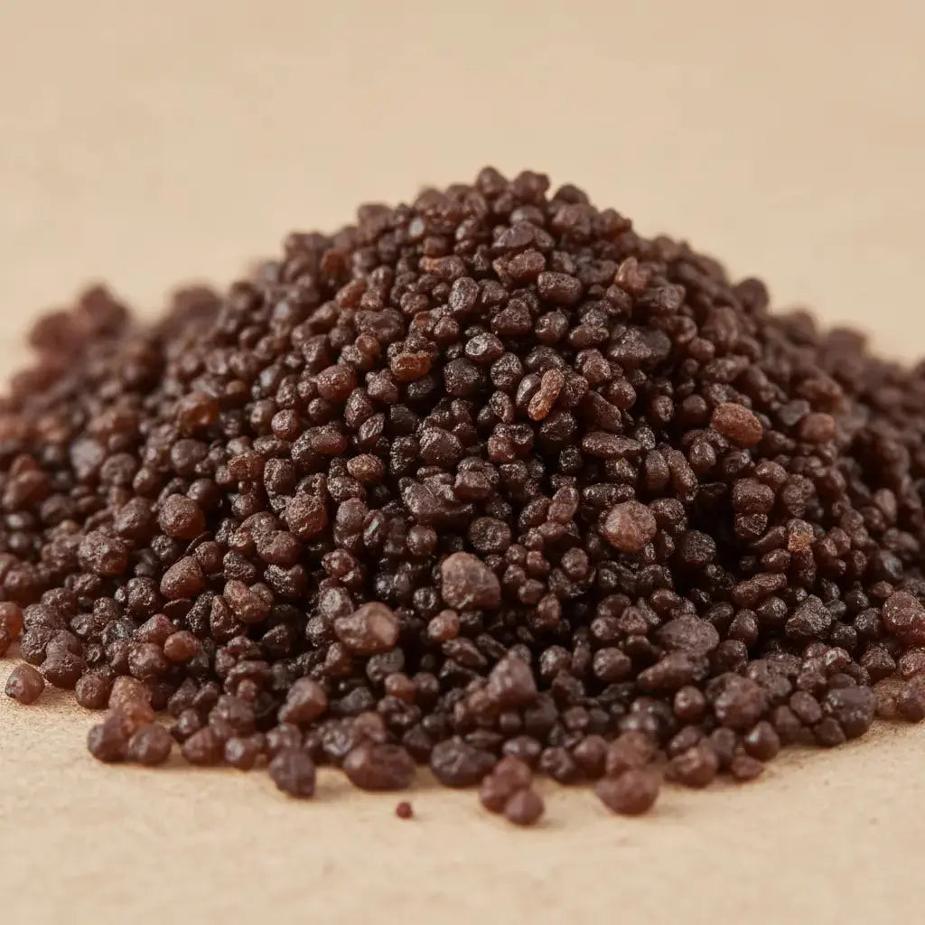 Gros plan sur un monticule de grains d'encens de résine Roi Mage N°1, montrant une couleur brun-rouge foncé, uniforme et brillante, avec une texture granuleuse.