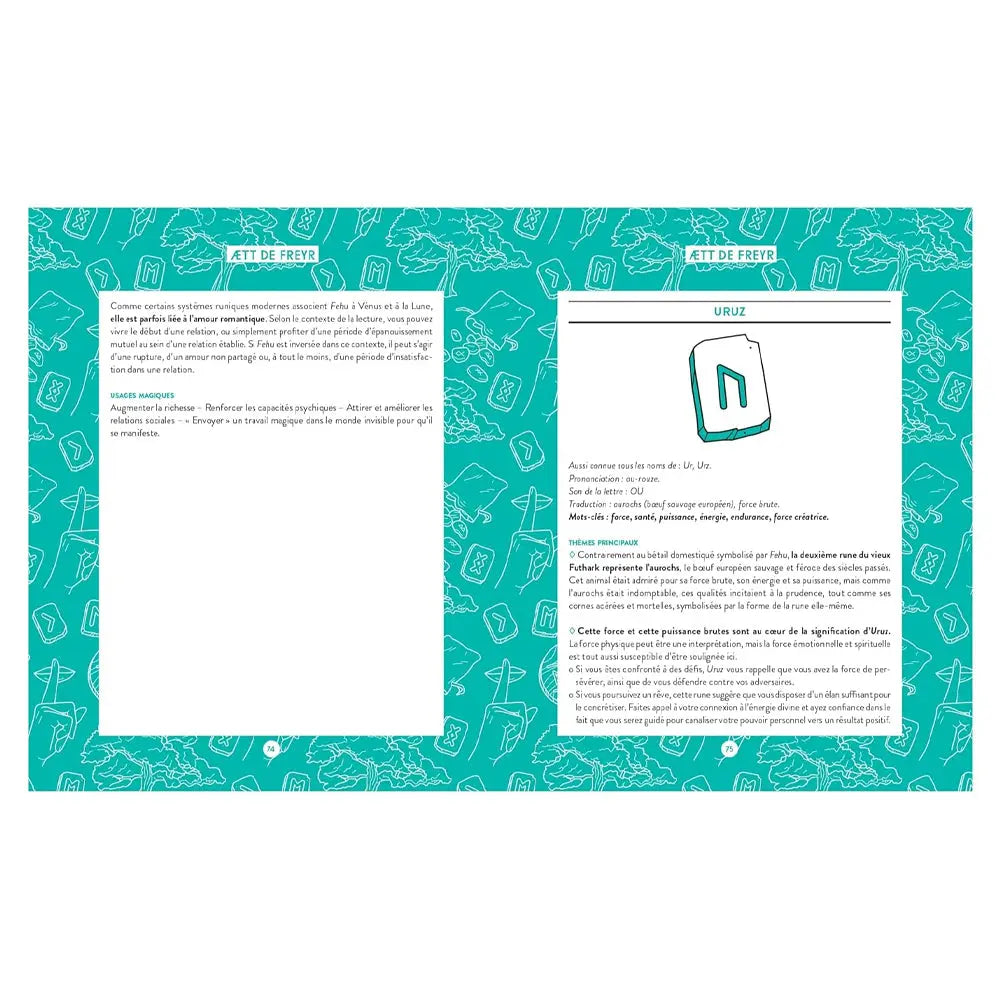 Double page intérieure du livre Runes pour débutants, fond turquoise avec motifs, texte explicatif et encadré sur la rune Uruz.