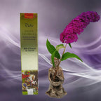 Boîte d'encens naturel Vedic Saint Georges Sauge Blanche dorée avec illustration du saint terrassant un dragon, statuette de moine et fleur violette sur fond mauve