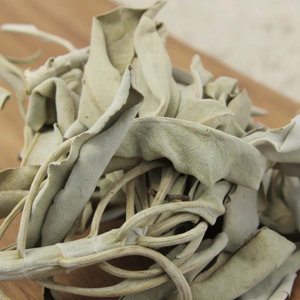 Gros plan sur des feuilles de sauge blanche séchées, en lanières légèrement enroulées.