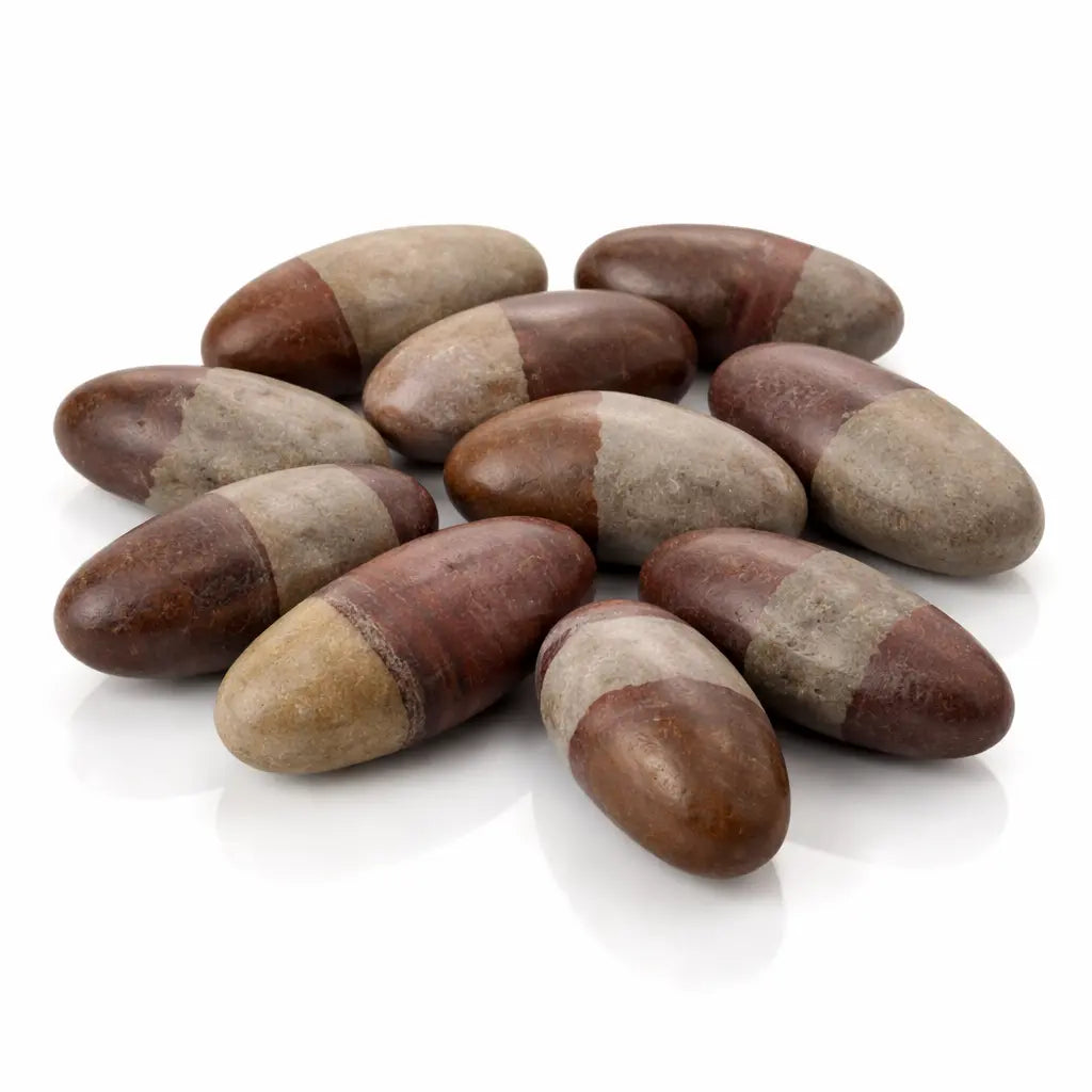 Un groupe de pierres de Shiva Lingam de forme ovoïde aux nuances de gris, beige et marron terreux, présenté sur un fond blanc avec des reflets brillants.