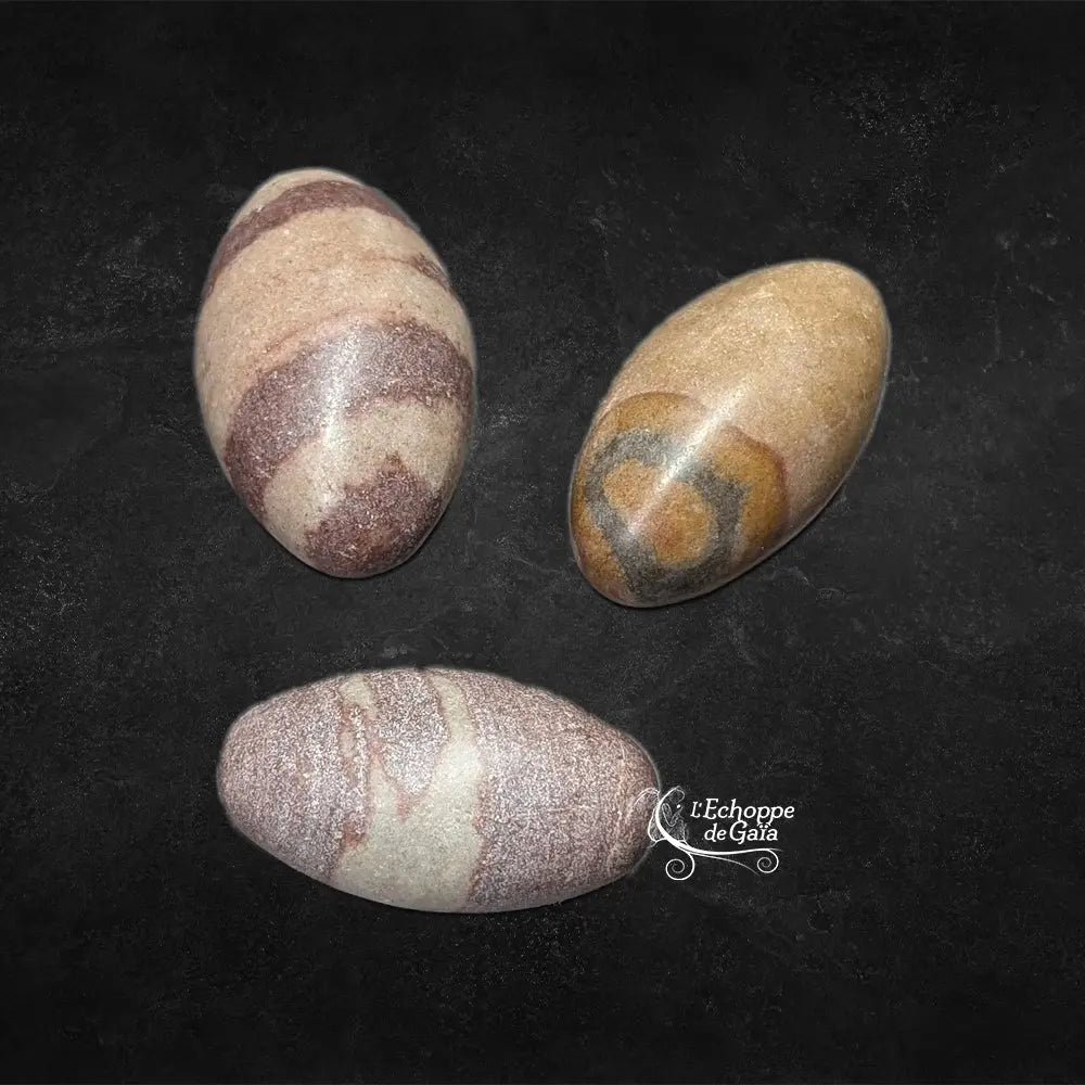 Trois pierres de shiva lingam polies de forme ovoïde, présentant des teintes beiges et des marques brunes circulaires ou rubanées, présentées sur un fond noir.