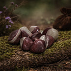 Groupe de pierres Shiva Lingam polies aux teintes bicolores gris terreux et rouge bordeaux, disposées sur un tronc d'arbre recouvert de mousse.