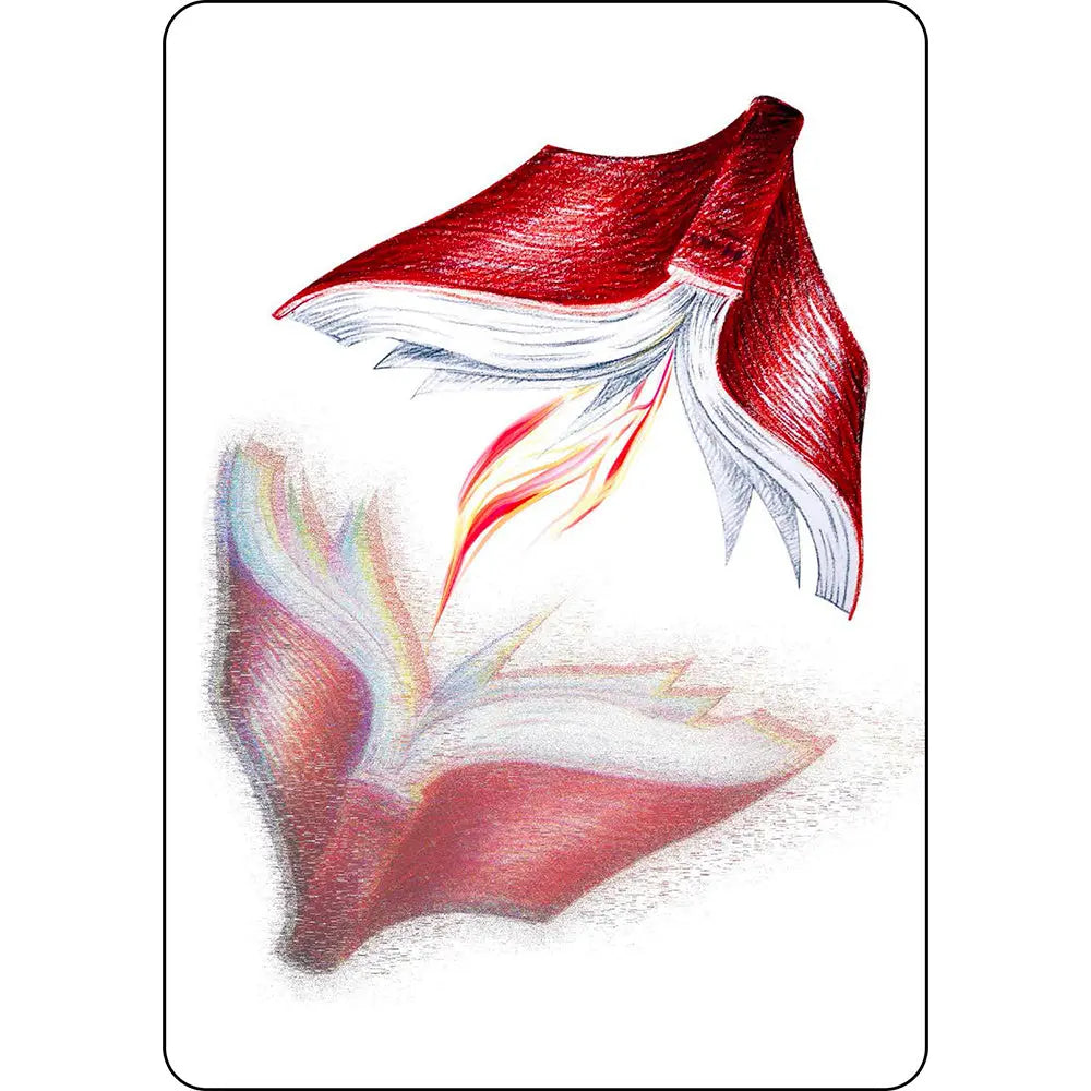 Carte illustrée du jeu Synchronicity représentant un livre rouge ouvert qui s'envole au-dessus de son double pixélisé, reliés par une flamme.