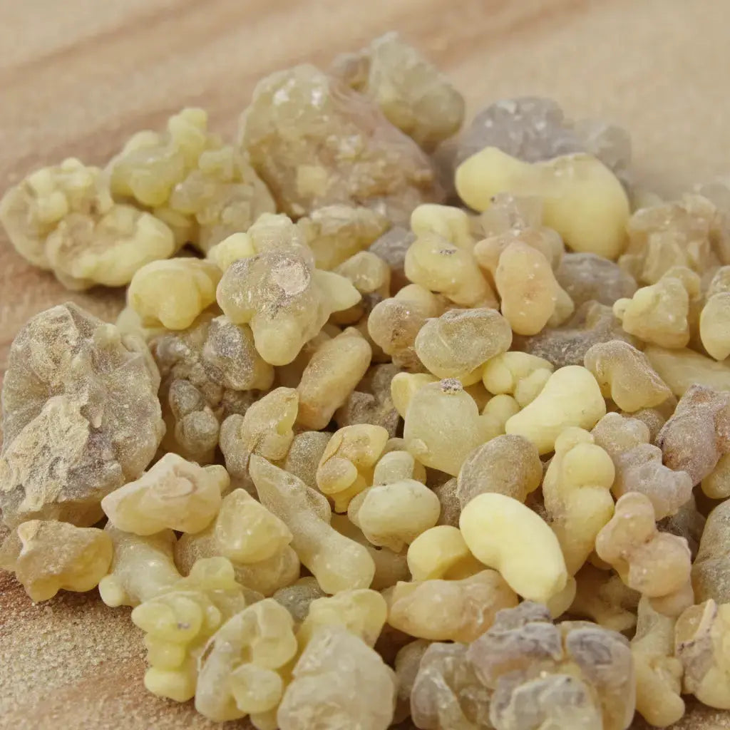 Gros plan sur un monticule de morceaux de résine d'Encens Tibétain, montrant des larmes de résine de couleur jaune-beige clair et blanc cassé de taille irrégulière.