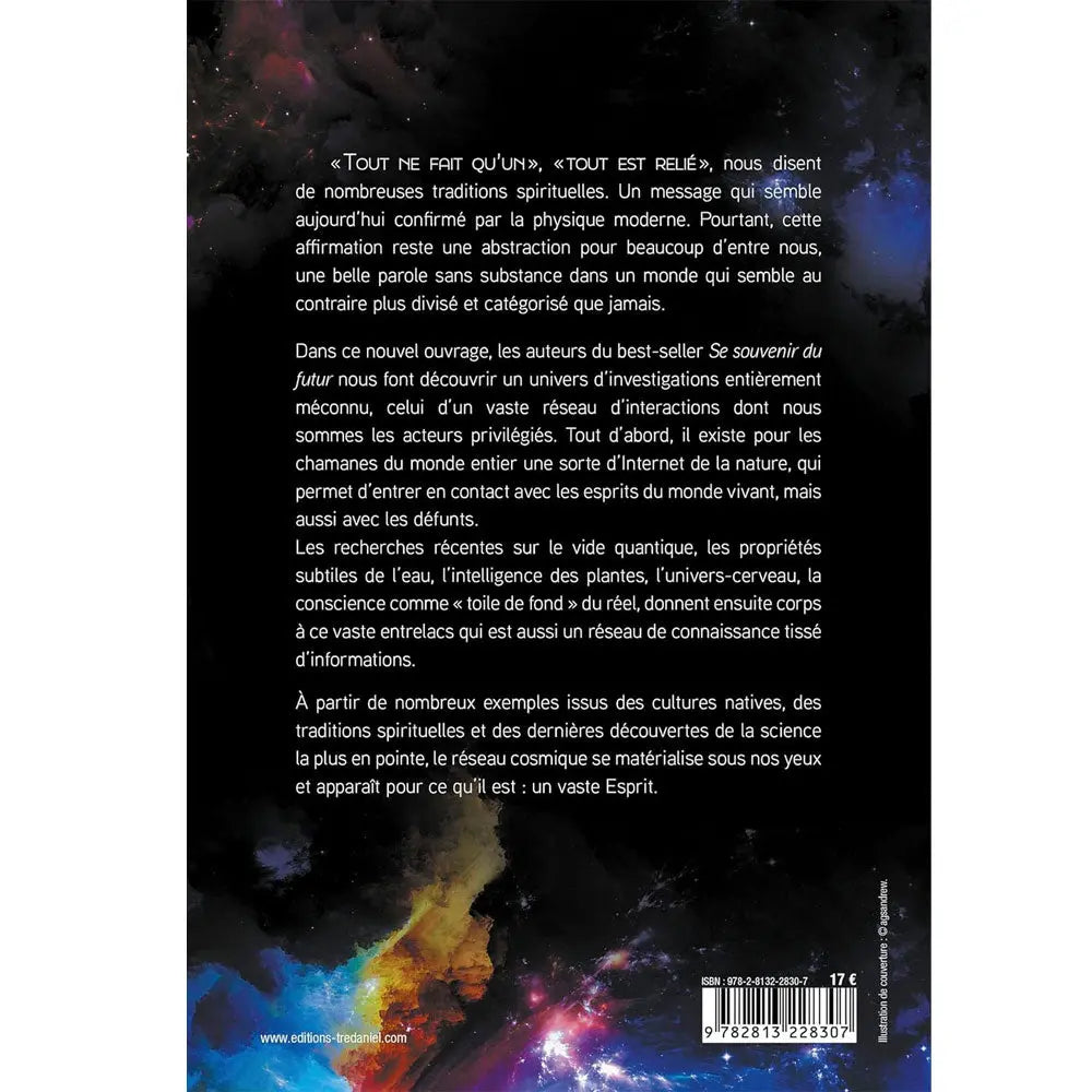 Quatrième de couverture du livre "Tout est relié" avec résumé sur la physique moderne et les traditions spirituelles.