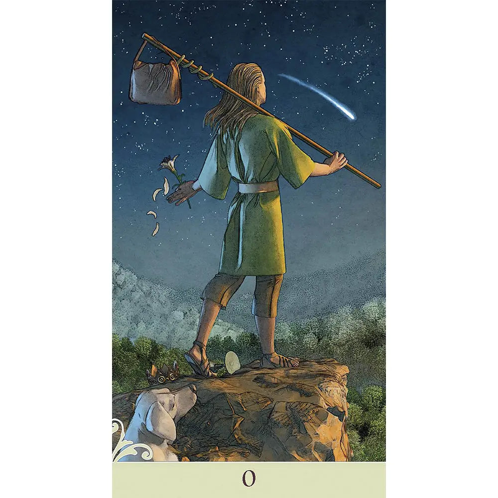 Vice Versa Tarot - Jeu 78 Cartes Guy Trédaniel Editeur