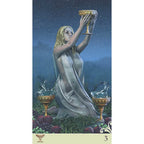 Vice Versa Tarot - Jeu 78 Cartes Guy Trédaniel Editeur