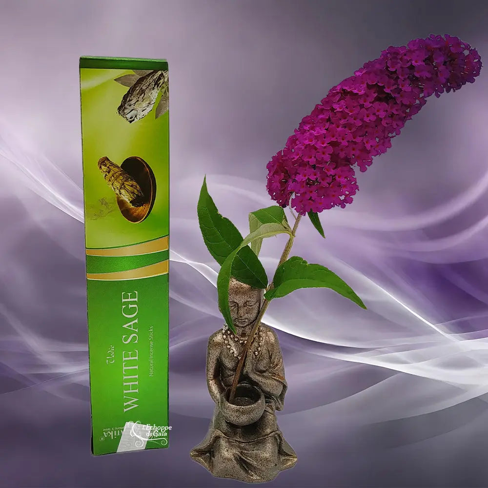 Boîte d'encens naturel Vedic White Sage verte avec illustration de bouquets de sauge séchée, statuette de moine et fleur violette sur fond mauve