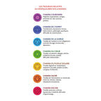 Schéma des 7 chakras et des troubles liés à leur déséquilibre, extrait du livre "Yoga et huiles essentielles".