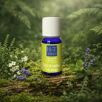 Flacon bleu et étui vert pomme Herbes et Traditions Zeste de Fraîcheur posé sur une branche moussue parmi des fleurs blanches et des brins de menthe.